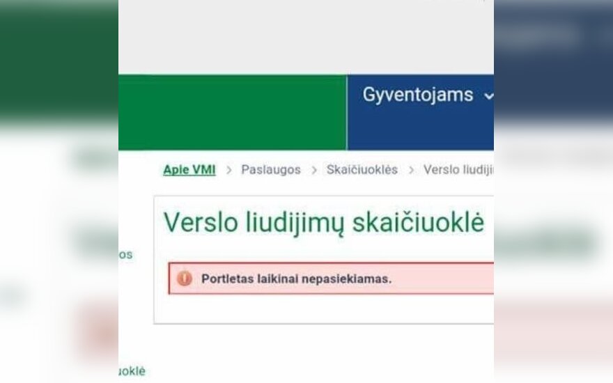 Stringa VMI portalo veikla