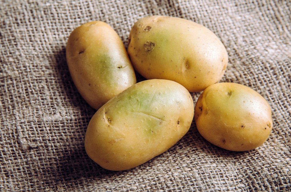 5 sandėliavimo klaidos, galinčios sugadinti bulvių atsargas - DELFI Gyvenimas