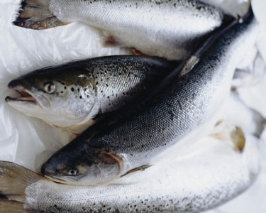 Unikauskas: nauda regėjimui ir pagalba kognityvinėms funkcijoms – priežastys žuvį valgyti dažniau