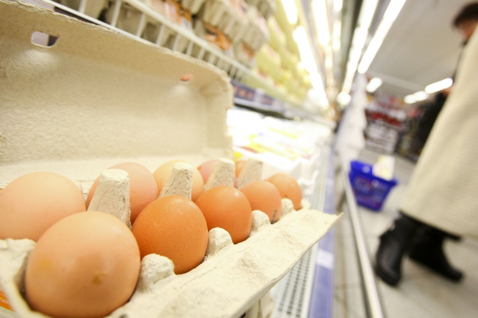 Перепелиные яйца: польза и вред для организма
