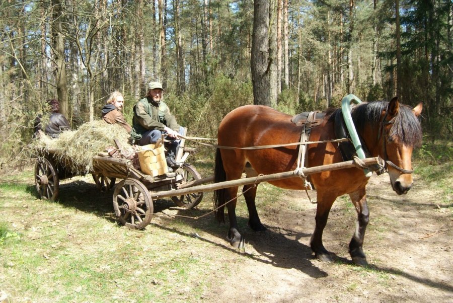 vartotojo kelta nuotrauka